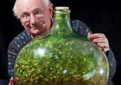 Живое растение более 50 лет в закупоренной бутылке